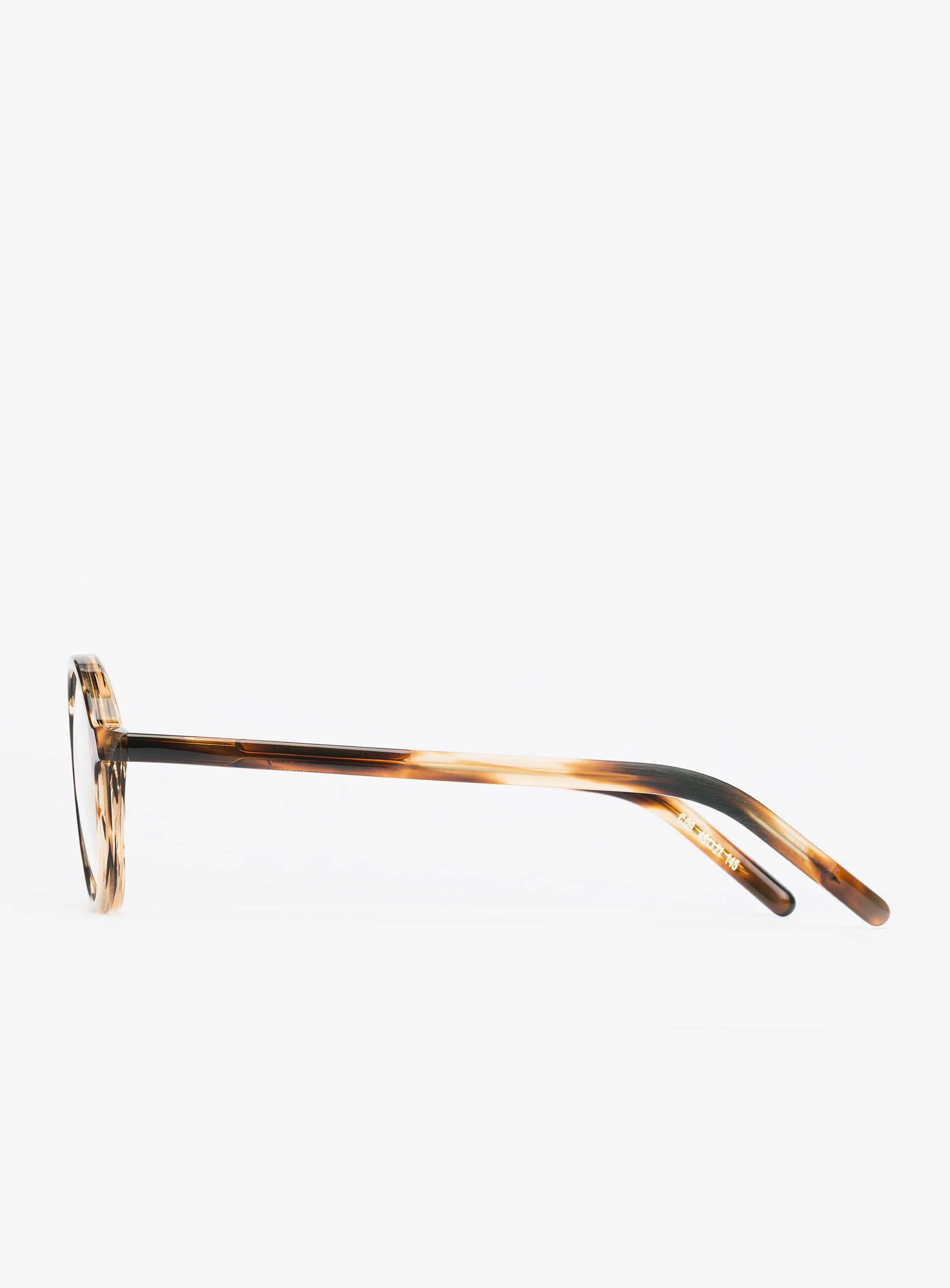 THE PRODUCER 49 Tortoise