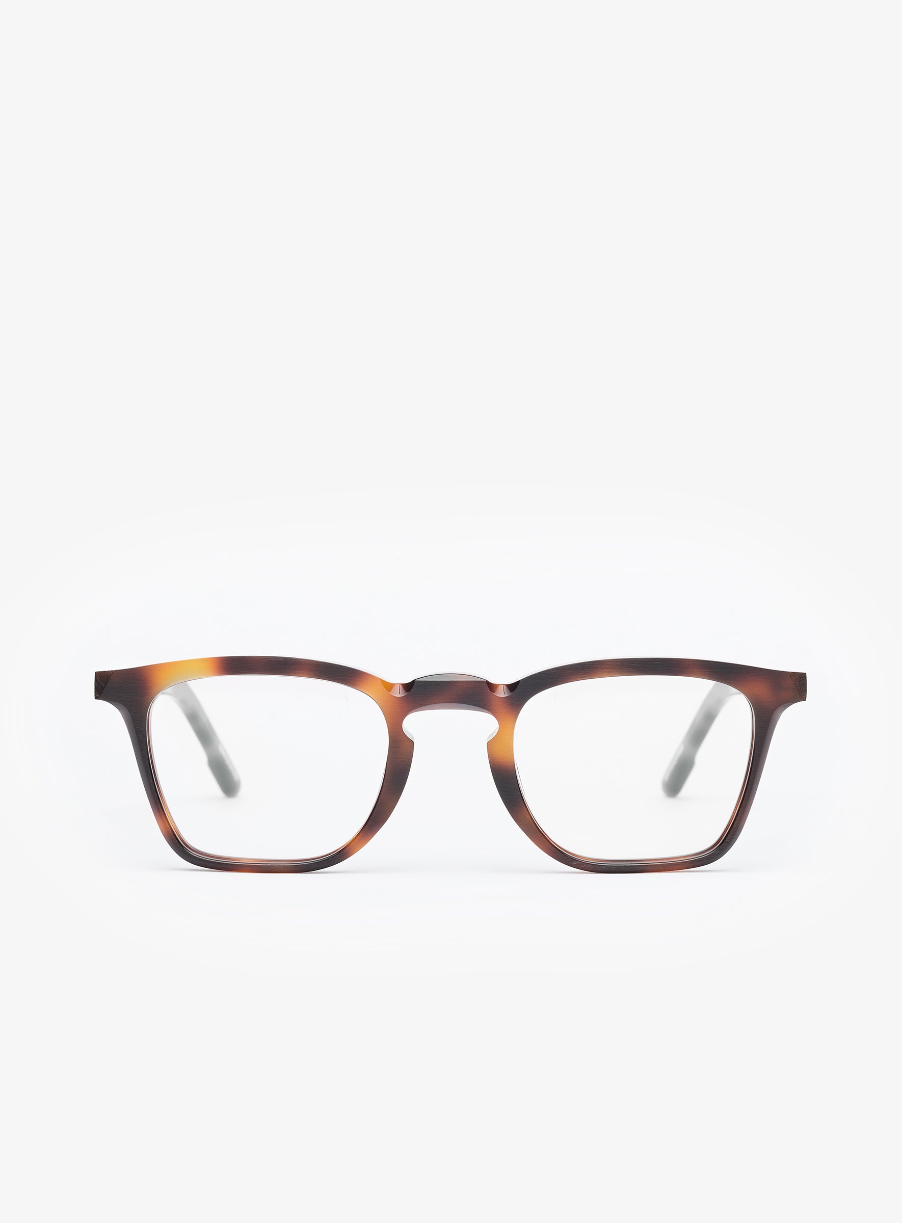 THE AUTHOR Tortoise - PORTRAIT Eyewear