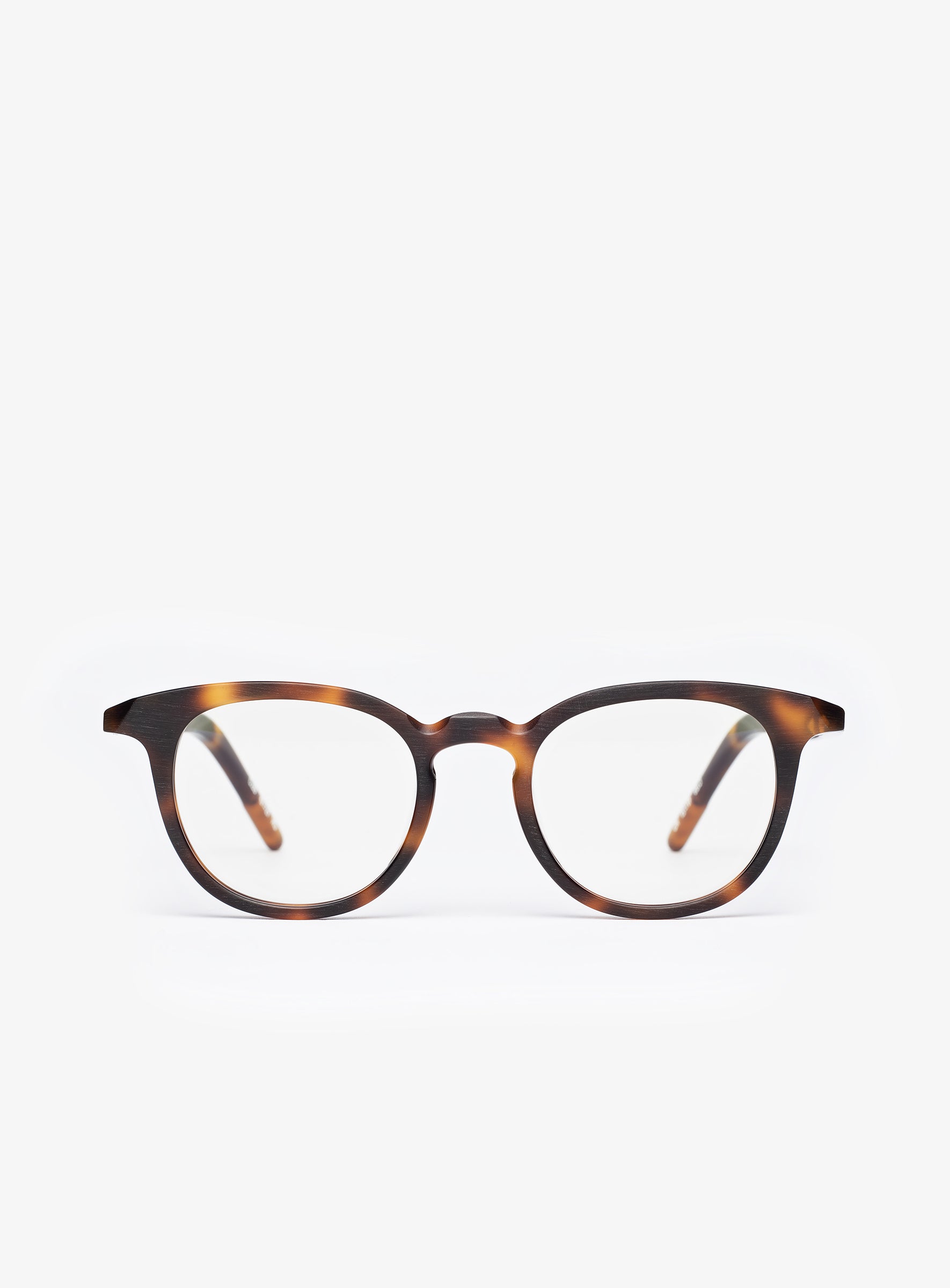 THE CREATOR Havana Tortoise - PORTRAIT Eyewear