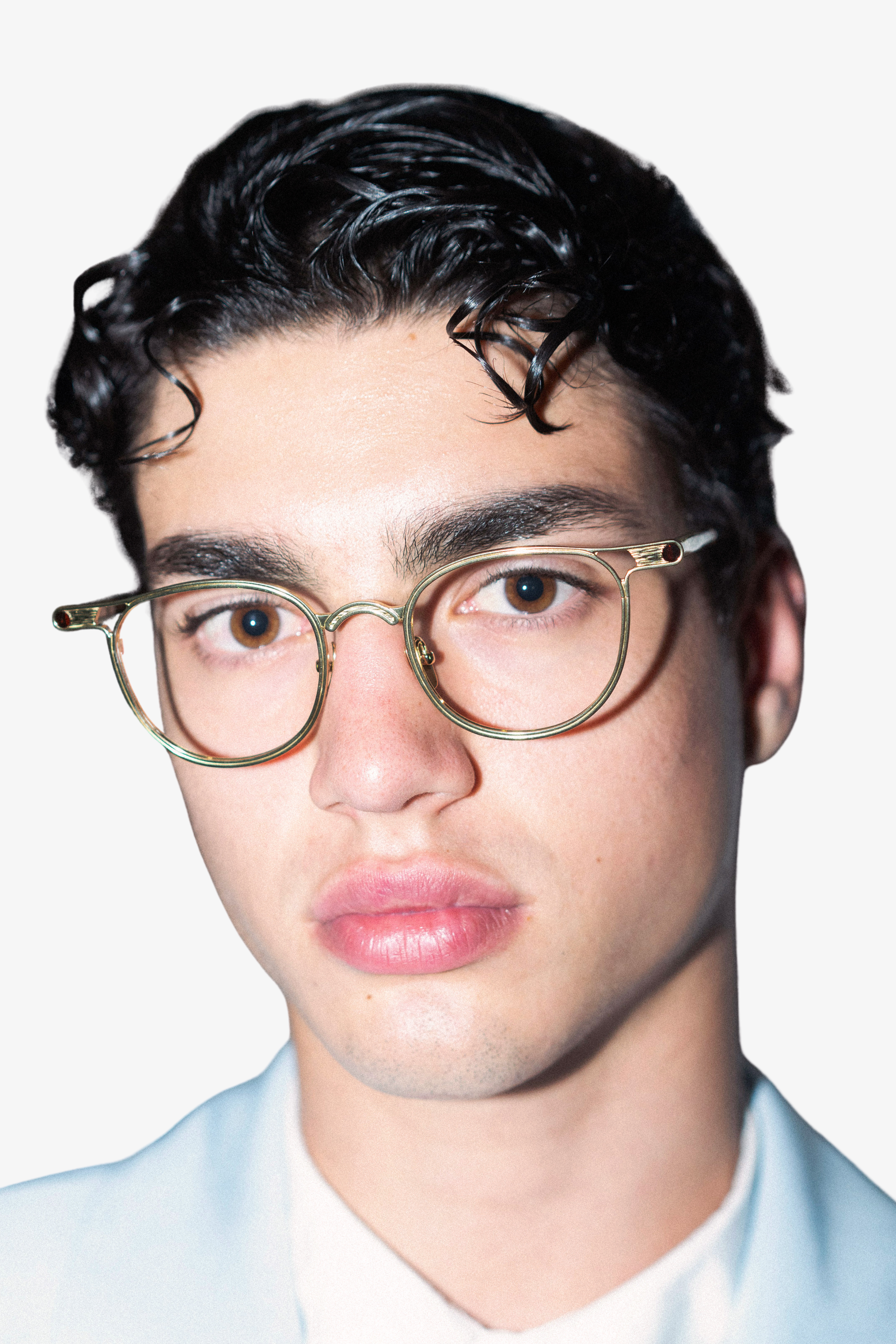 DAVE Gold Tortoise