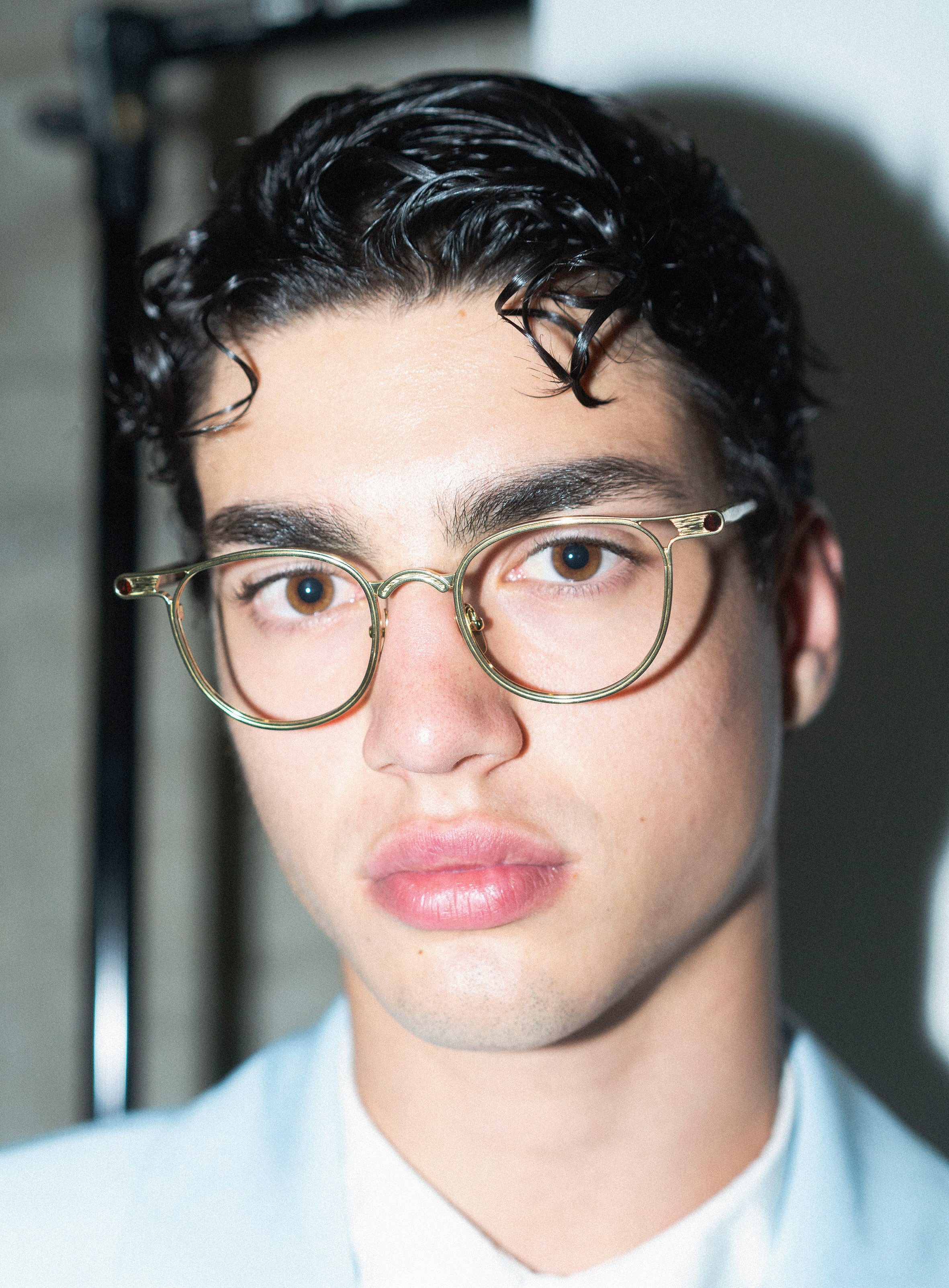 DAVE Gold Tortoise