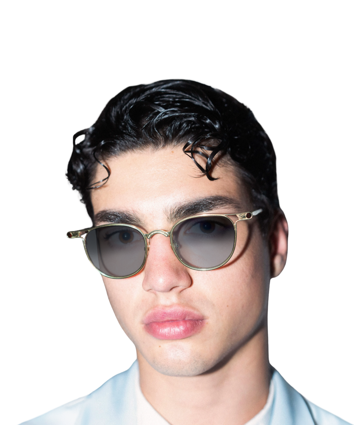 DAVE Gold Tortoise