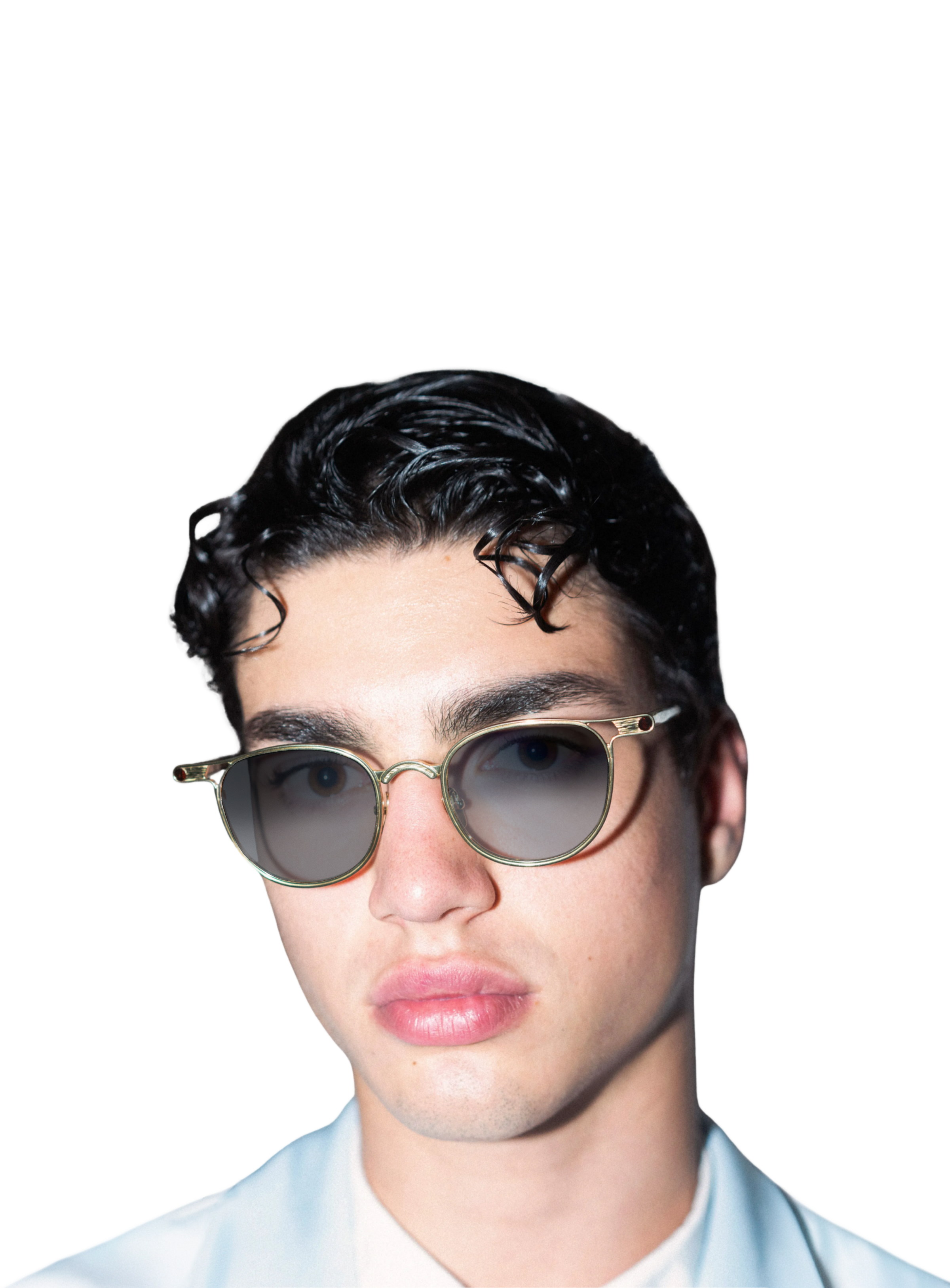 DAVE Gold Tortoise