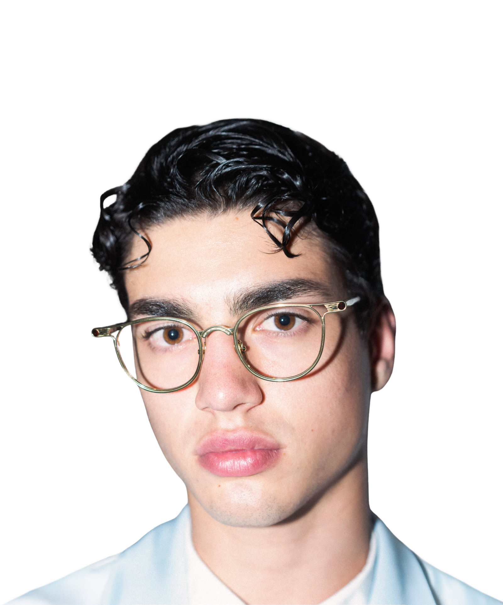 DAVE Gold Tortoise