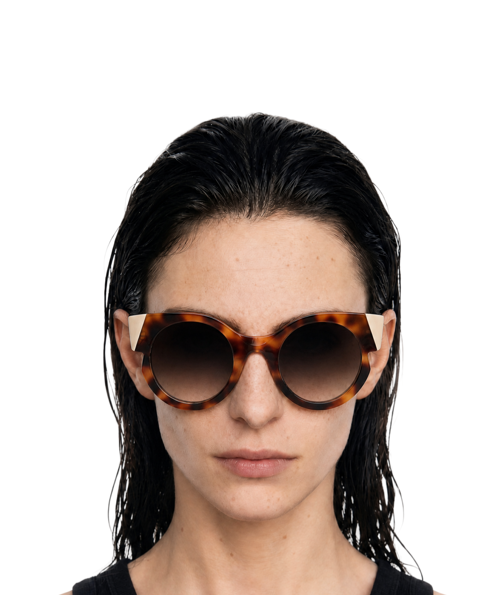 DAS MODEL Tortoise Limited Edition