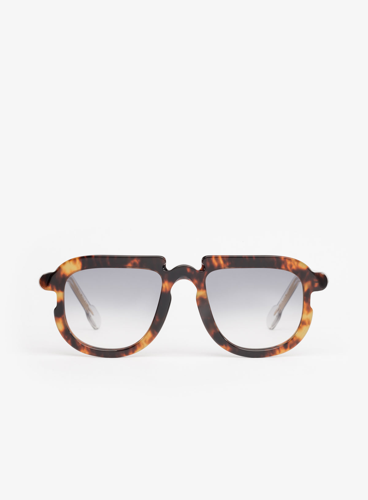 ELIASSON Tortoise