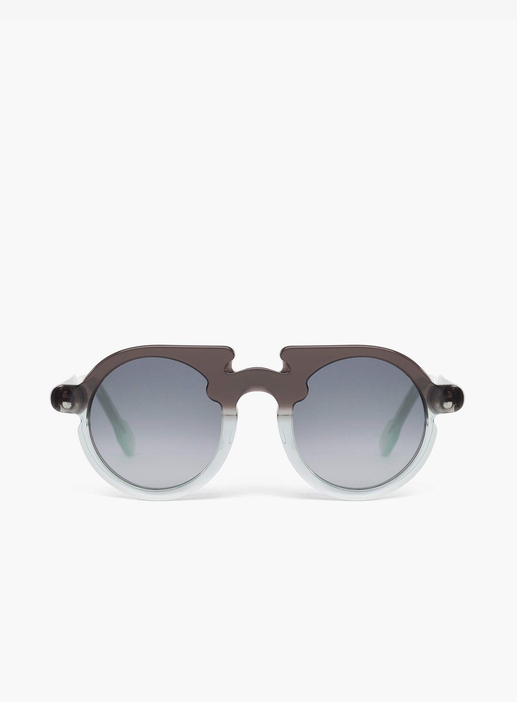 FLAVIN Gradient Brown Green - PORTRAIT Eyewear