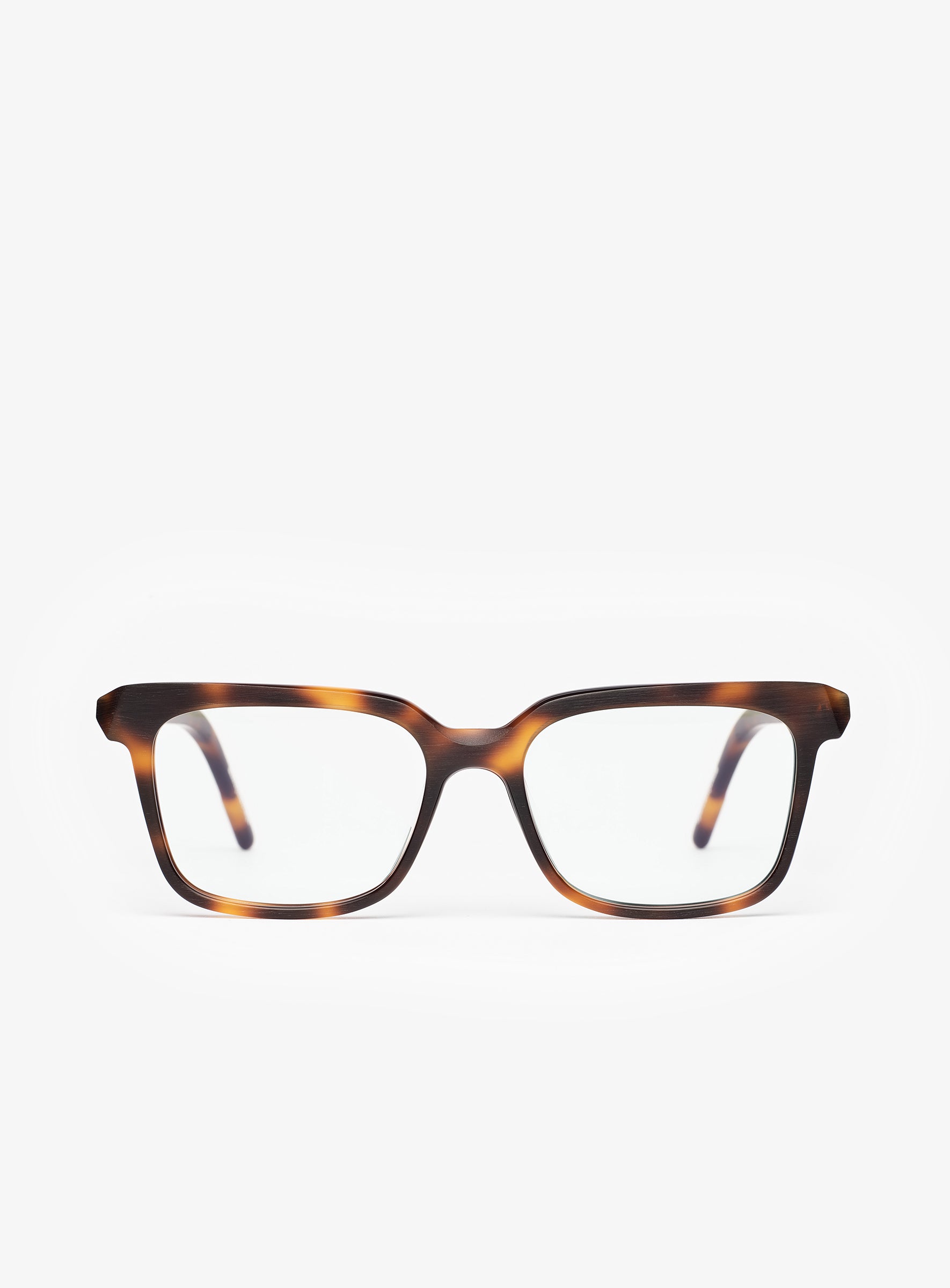 THE MASTER Havana Tortoise - PORTRAIT Eyewear