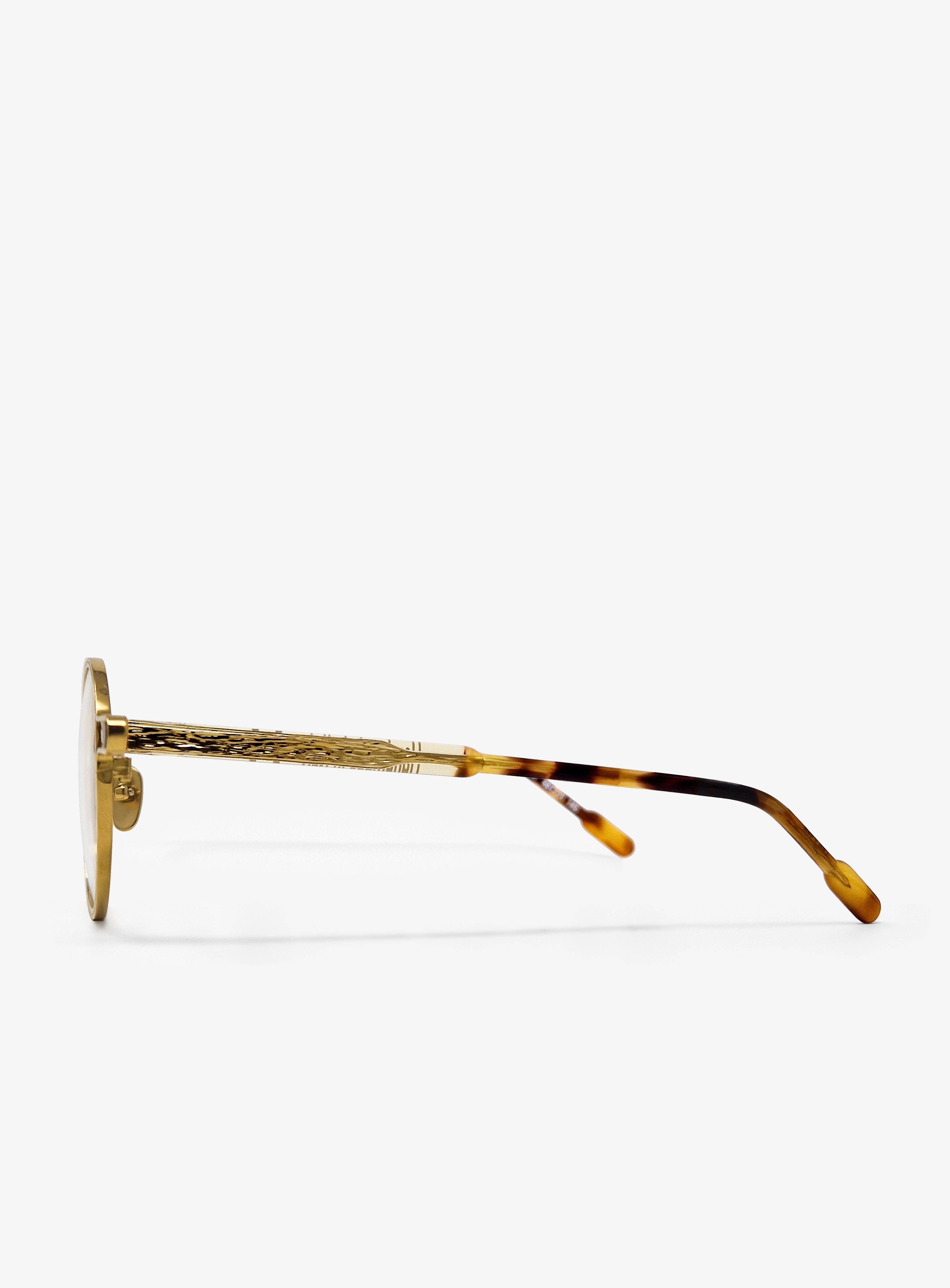SONIC Gold Tortoise