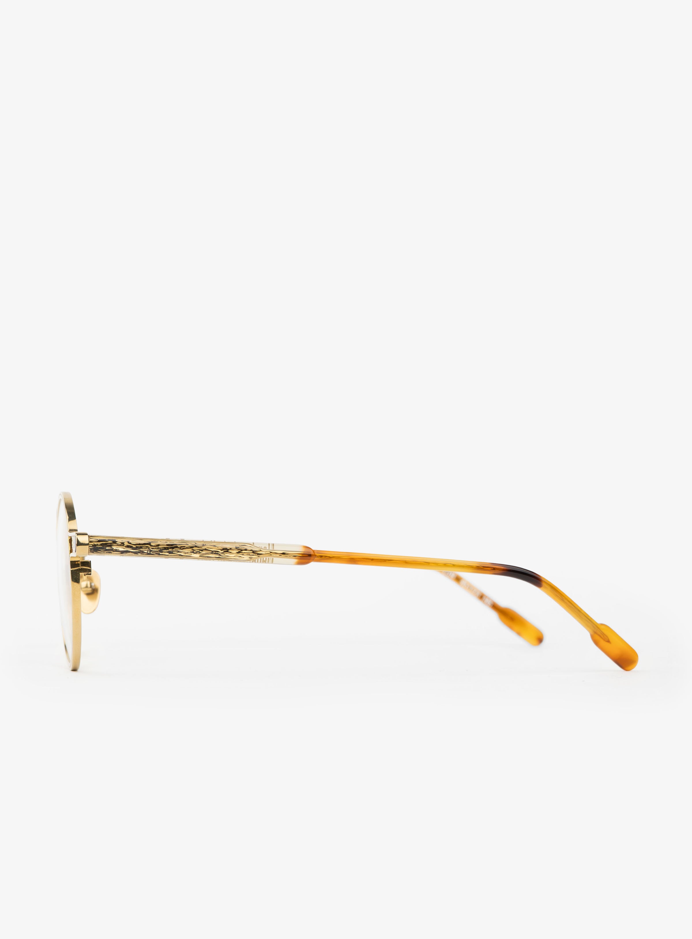 SONIC Gold Tortoise