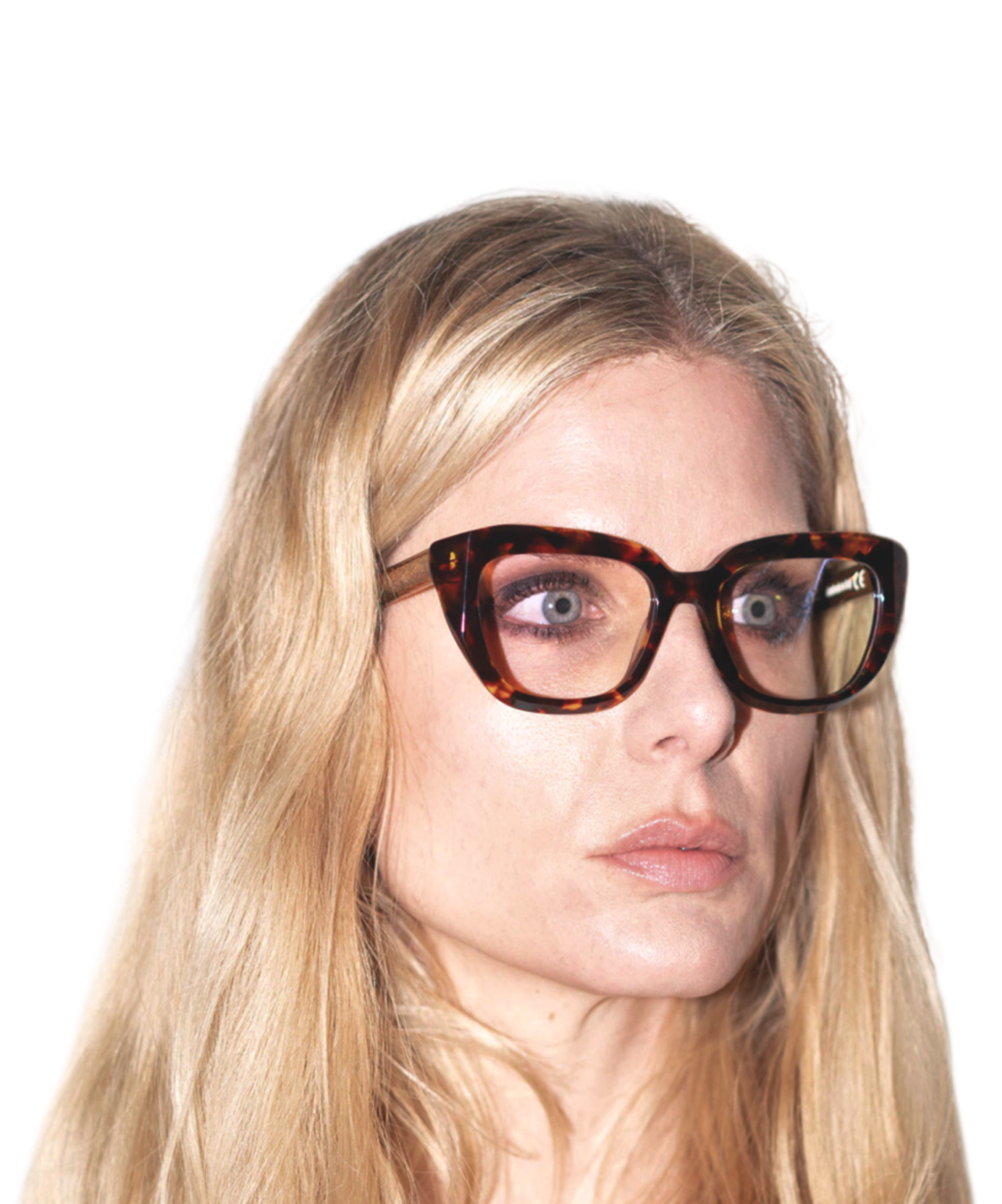 SOFIA Tortoise