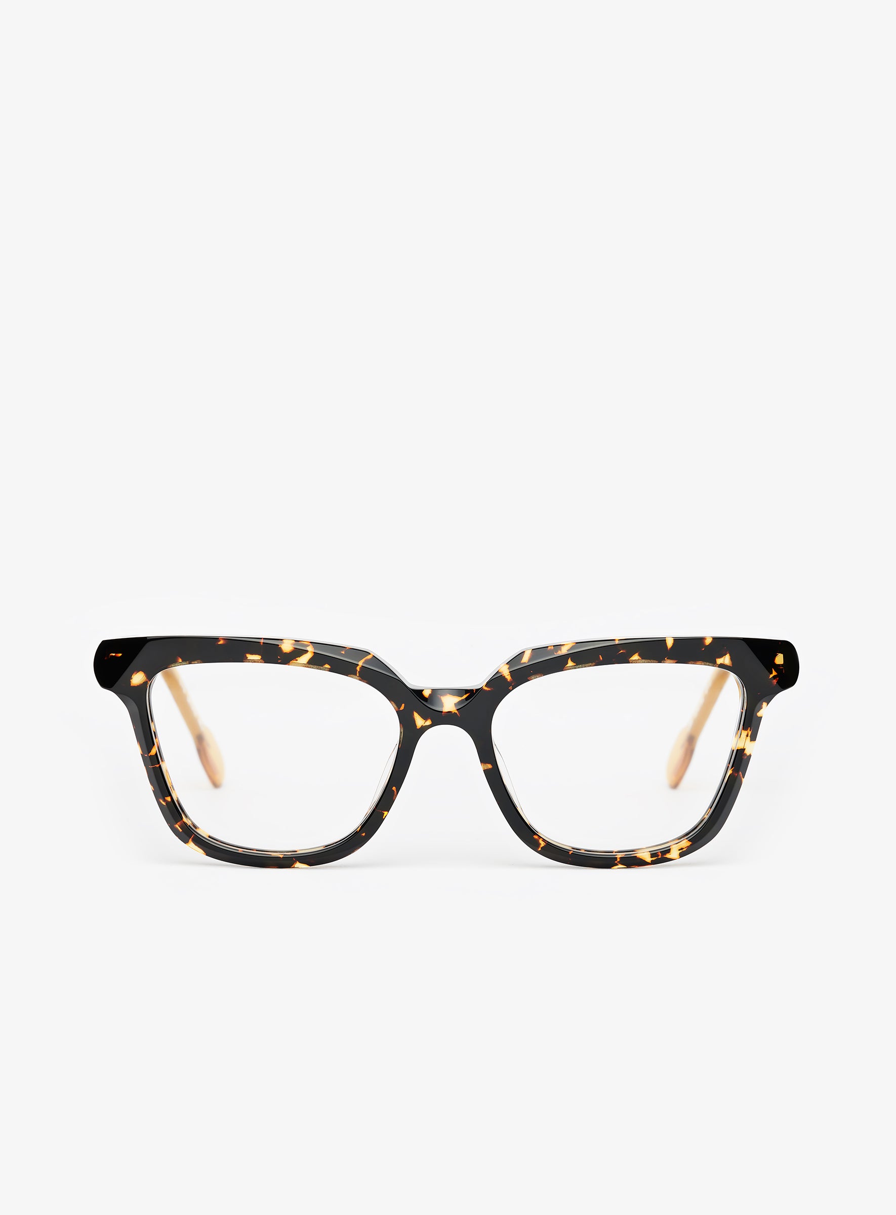 VEGA Havana Tokyo - PORTRAIT Eyewear