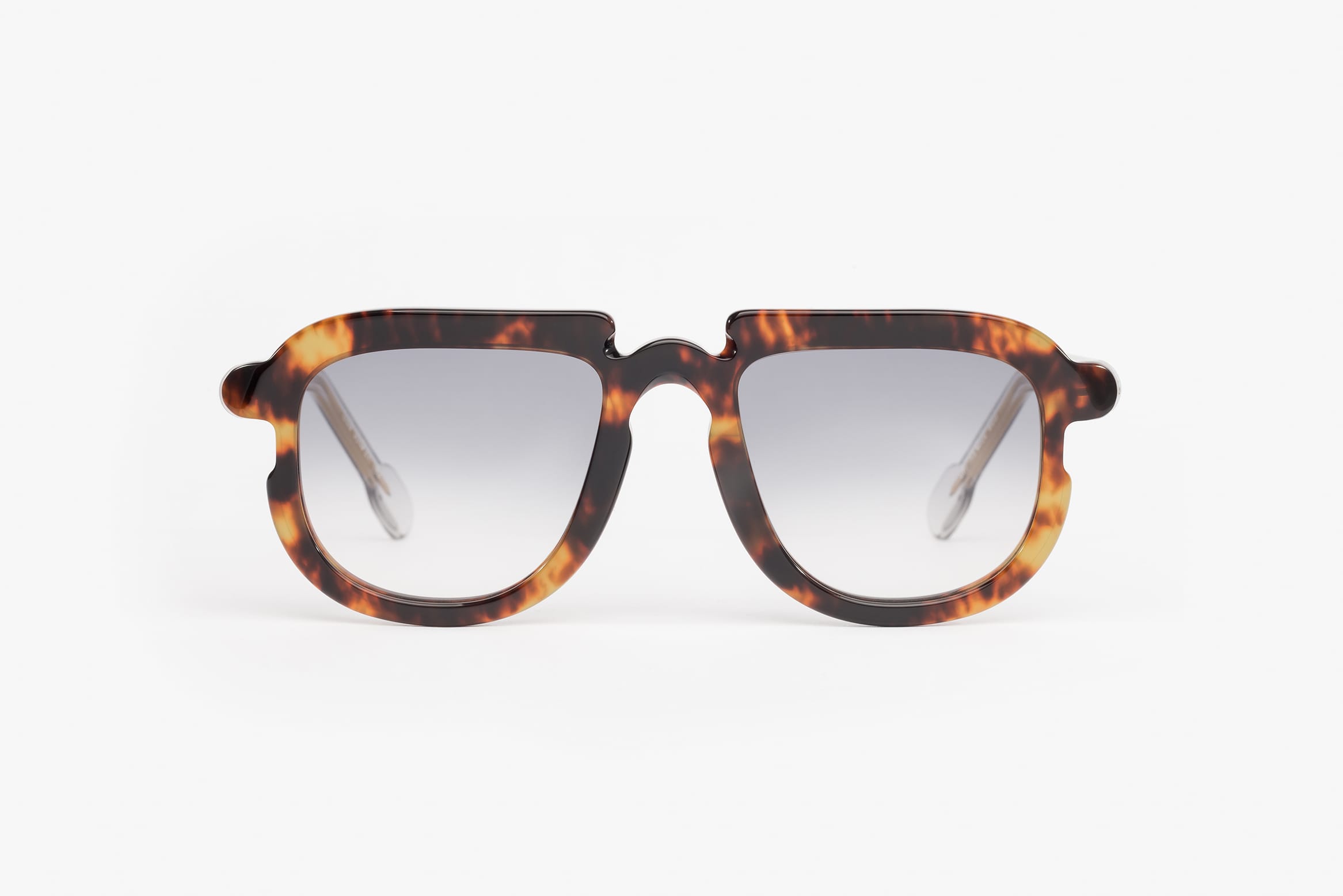 ELIASSON Tortoise